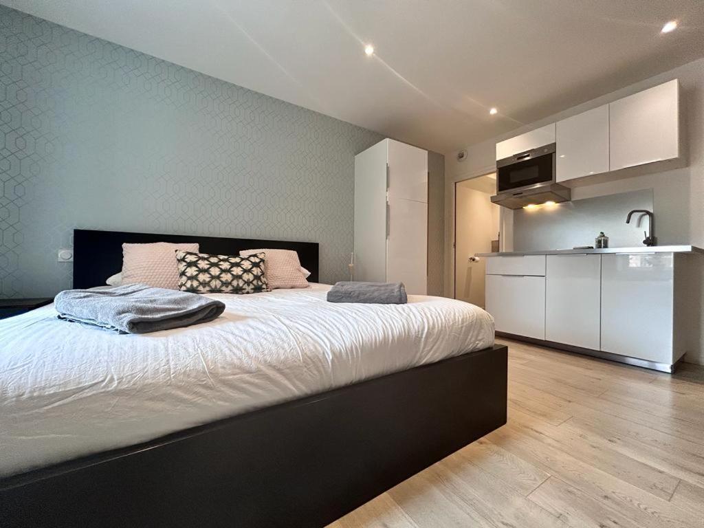 Tour D'Auvergne - Appartements En Plein Centre Ville, Proche De La Cathedrale Et De La Place De Jaude Clermont-Ferrand Esterno foto