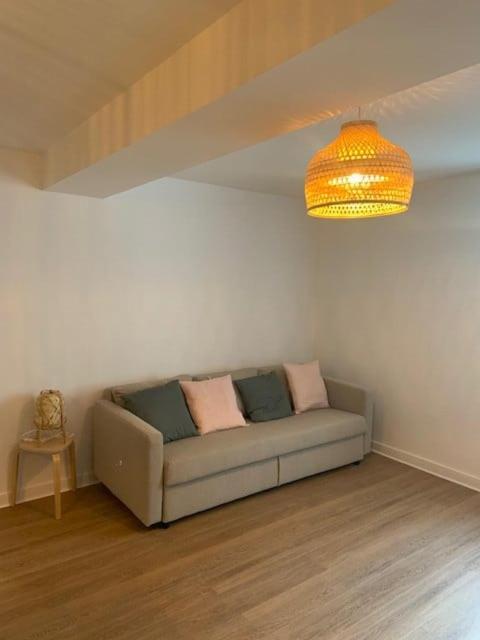 Tour D'Auvergne - Appartements En Plein Centre Ville, Proche De La Cathedrale Et De La Place De Jaude Clermont-Ferrand Esterno foto